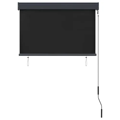 Vanjska roleta 100 x 250 cm antracit - Antracit 100 x 250 cm Cijena