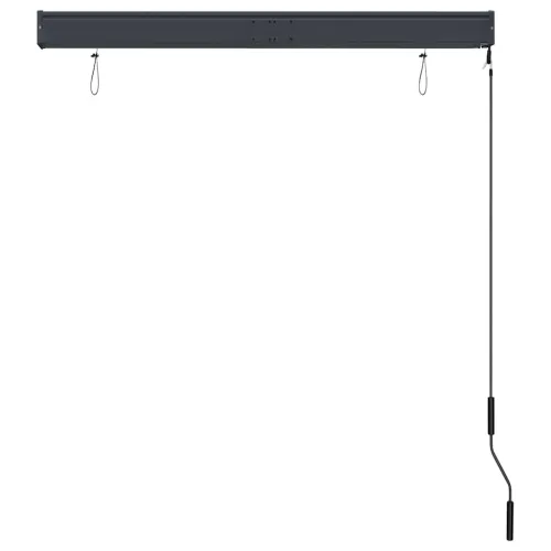 Vanjska roleta 120 x 250 cm antracit - Antracit 120 x 250 cm Cijena