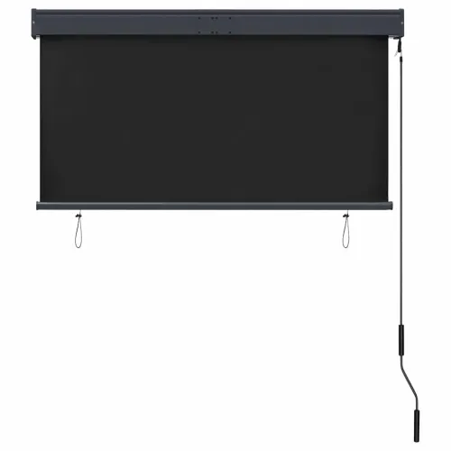 Vanjska roleta 120 x 250 cm antracit - Antracit 120 x 250 cm Cijena