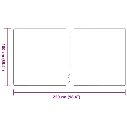 Tepih trkač Antracit 100 x 250 cm 100% Polipropilen - Antracit 100 x 250 cm Cijena