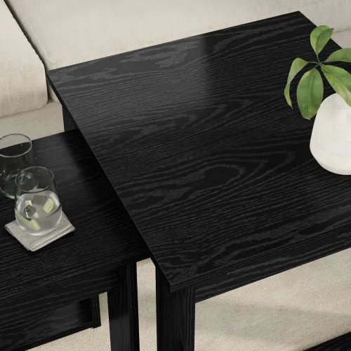 Set stolića za kavu 2 kom. Crni hrast 50 x 52 x 42 cm - Crni hrast Cijena