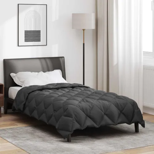 Zimska pokrivača 140 x 220 cm 450 gsm Antracit - Antracit 140 x 220 cm Cijena