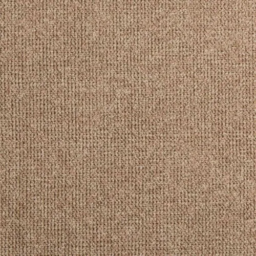 Tepih za unutarnju i vanjsku uporabu AGIRA Prirodna 200 x 80 cm - 200 x 80 cm Uzorak petlje Cijena