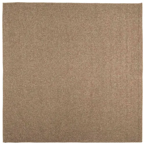 Tepih za unutarnju i vanjsku uporabu AGIRA Prirodna Poliester - 200 x 200 cm Uzorak petlje Cijena