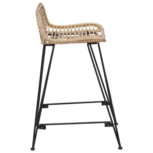 Barska stolica 2 kom. Prirodna 44 x 45 x 76 cm Ratan i Čelik - Prirodna Cijena