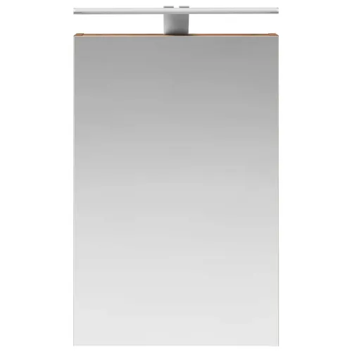 Kupaonski ormar s ogledalom Staro drvo 40 x 10,5 x 60,5 cm - Staro drvo 40 x 10,5 x 60,5 cm s LED svjetlima Cijena