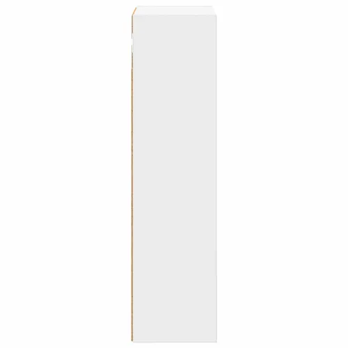 Kupaonski zidni ormarić Bijeli 30 x 16 x 62,5 cm - Bijeli 30 x 16 x 62,5 cm Cijena