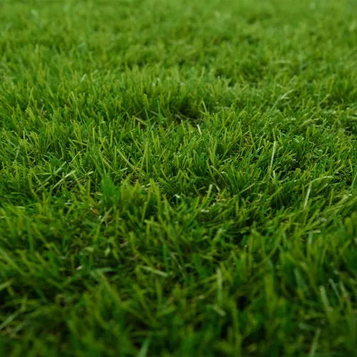 Umjetna trava Zelena 1 x 8 m / 50 mm PP i PE - Zelena 1 x 8 m 50 mm Cijena