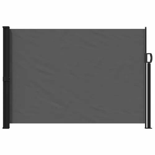 Retraktabilna bočna tende Pravokutni 170 x 300 cm Poliester - Antracit 170 x 300 cm Cijena