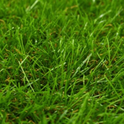 Umjetna trava 1 x 15 m / 40 mm zelena - 1 x 15 m/40 mm 1 1 x 15 m/40 mm Cijena