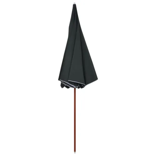 Vrtni suncobran s čeličnim stupom 300 cm antracit - Antracit 300 cm 1 Cijena